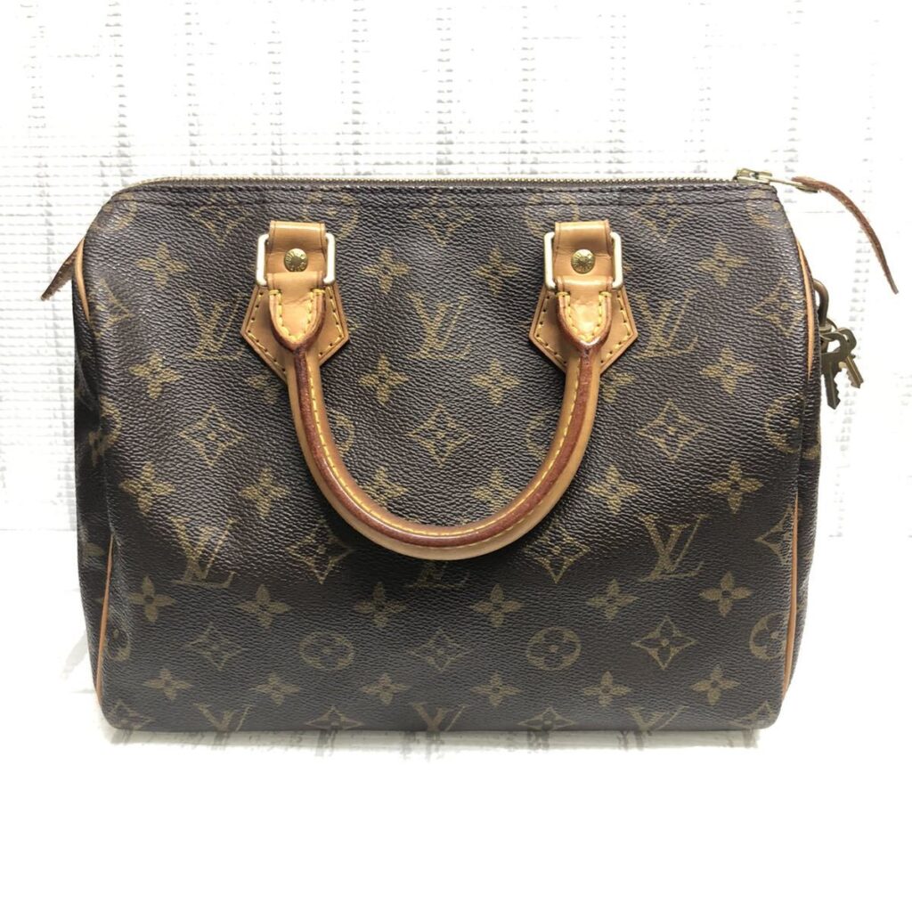 LOUIS VUITTON スピーディー25 M41109